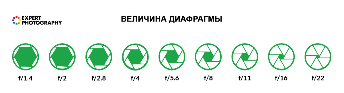 Малое число f (слева) - это большая диафрагма. Большое число f (справа) означает маленькую диафрагму