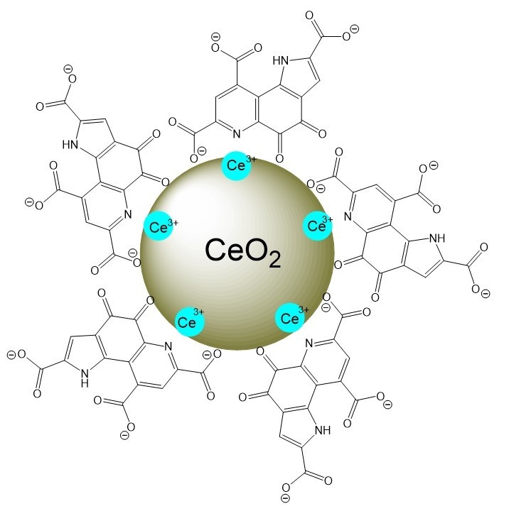 Схематическое изображение наночастиц церия, модифицированных пирролохинолинхиноном. Источник: Нелли Попова