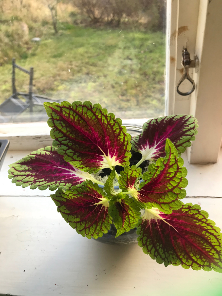 Фото из личного архива 