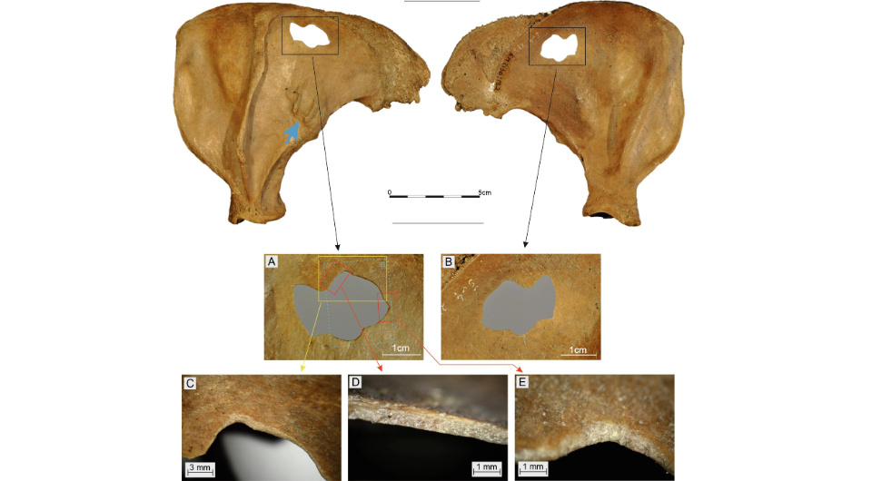   Grzegorz Osipowicz et al. / Journal of Archaeological Science: Reports, 2024