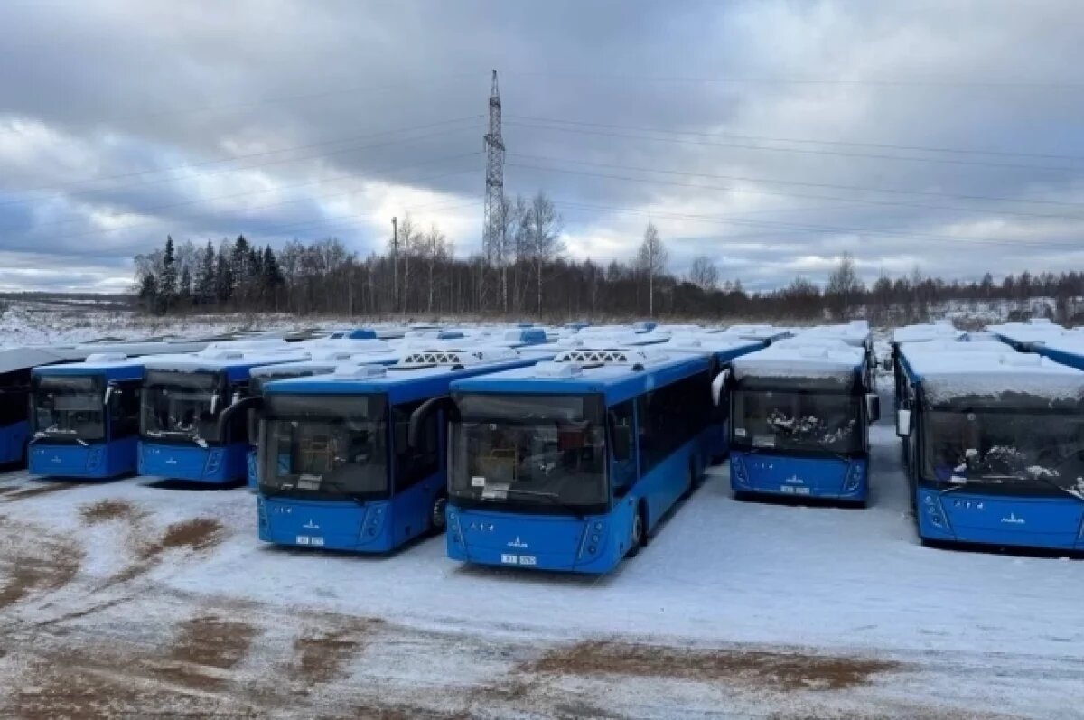    Владивосток в январе получит 30 новых автобусов от Минского автозавода