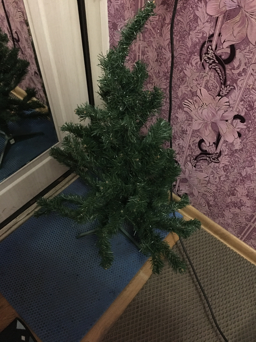 Старая ёлочка ждёт у выхода 