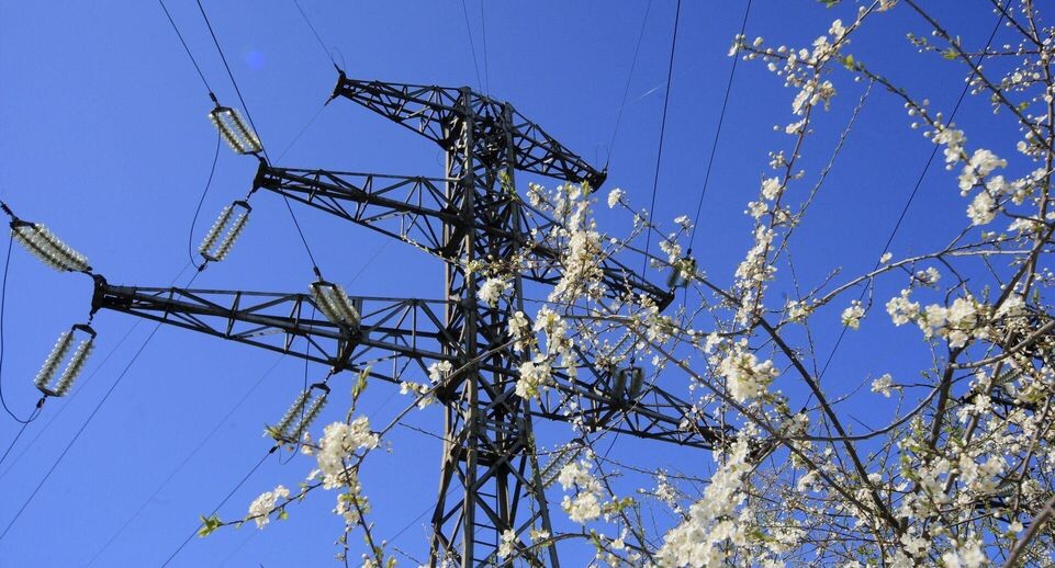    РИА «Новости»