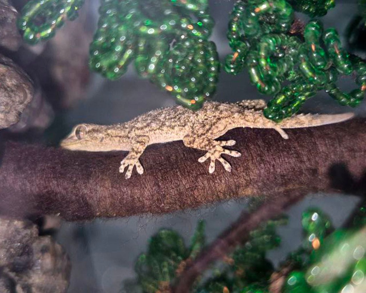 Фото Гродненского зоопарка