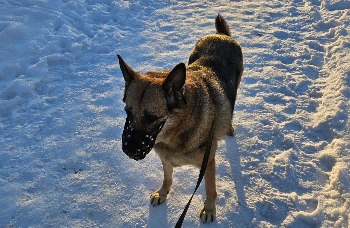 Фото: Gazeta.SPb