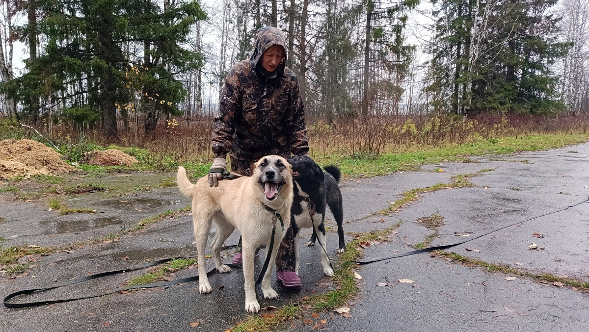 Найда и Гектор со своим куратором, Галиной