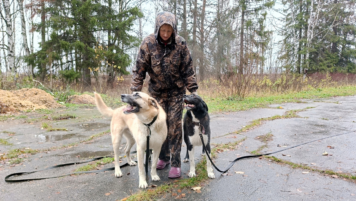 Как же это здорово - когда куратор рядом и жизнь прекрасна!