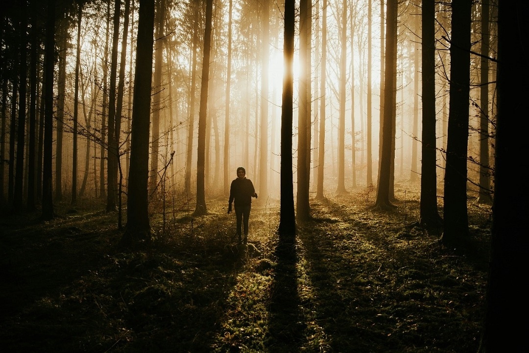 Источник: https://unsplash.com/