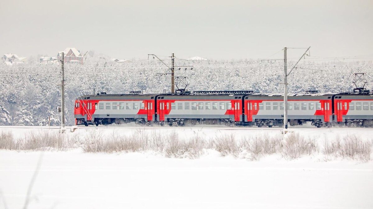    Фото: пресс-служба АО "СЗППК"