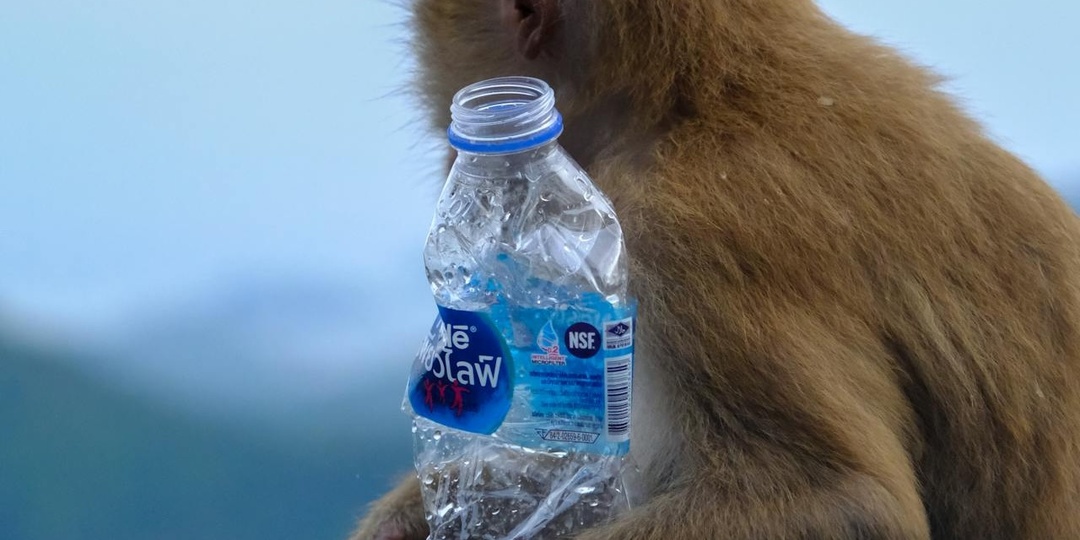 Отзыв о поездке на Пхукет. Здесь стало слишком дорого. Толпы китайцев, катание на слонах и такси с московскими ценами