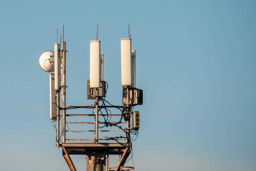    Фото: Svetlana Vozmilova / Globallookpress.com