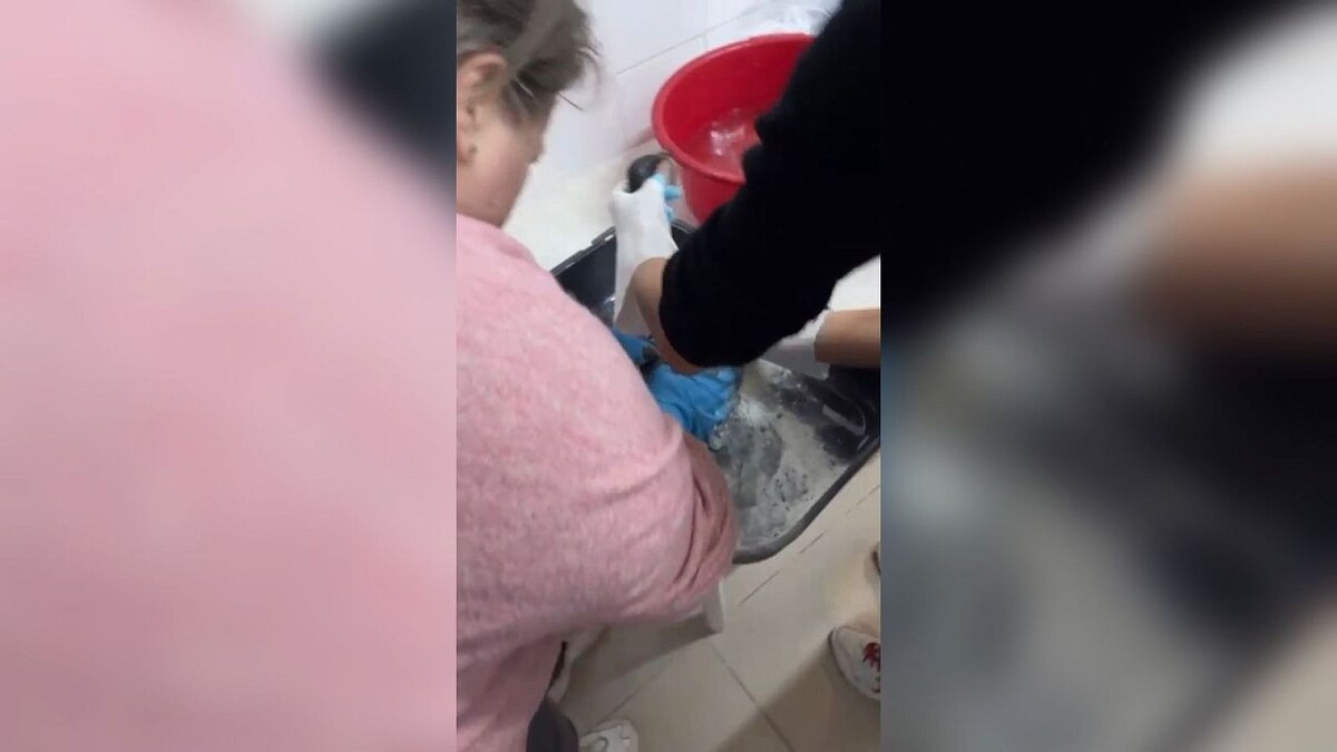    Фото: t.me/anapaofficial