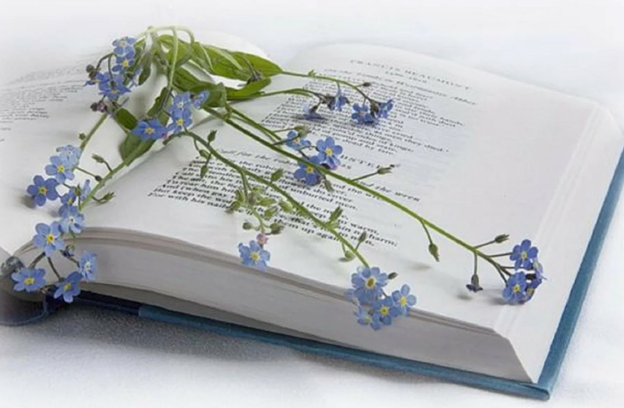 Картинка из статьи Галины Врублевской (с сайта bronk-club)