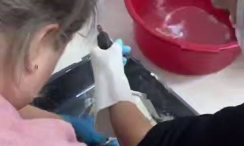    Фото t.me/anapaofficial