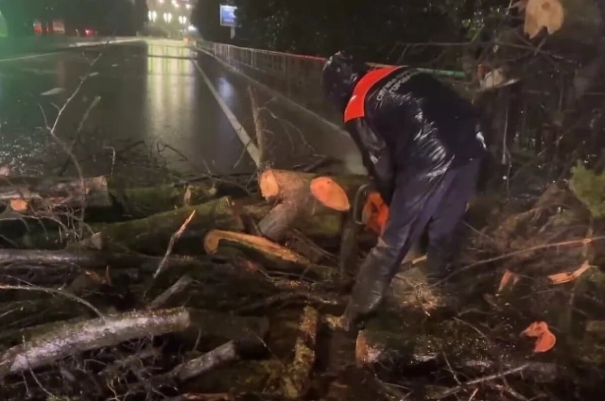    В Сириусе всю ночь работали коммунальные службы и спасатели