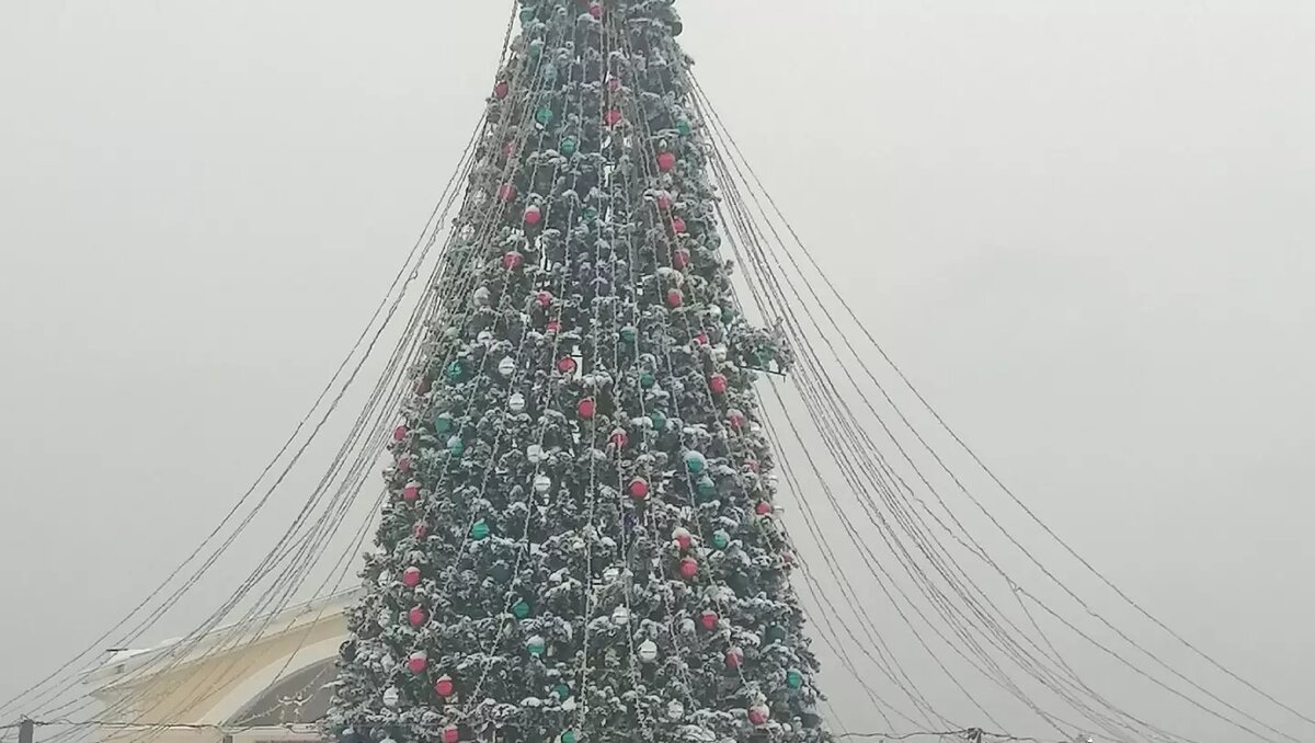     Источник: https://vk.com/wall-68154971_287709