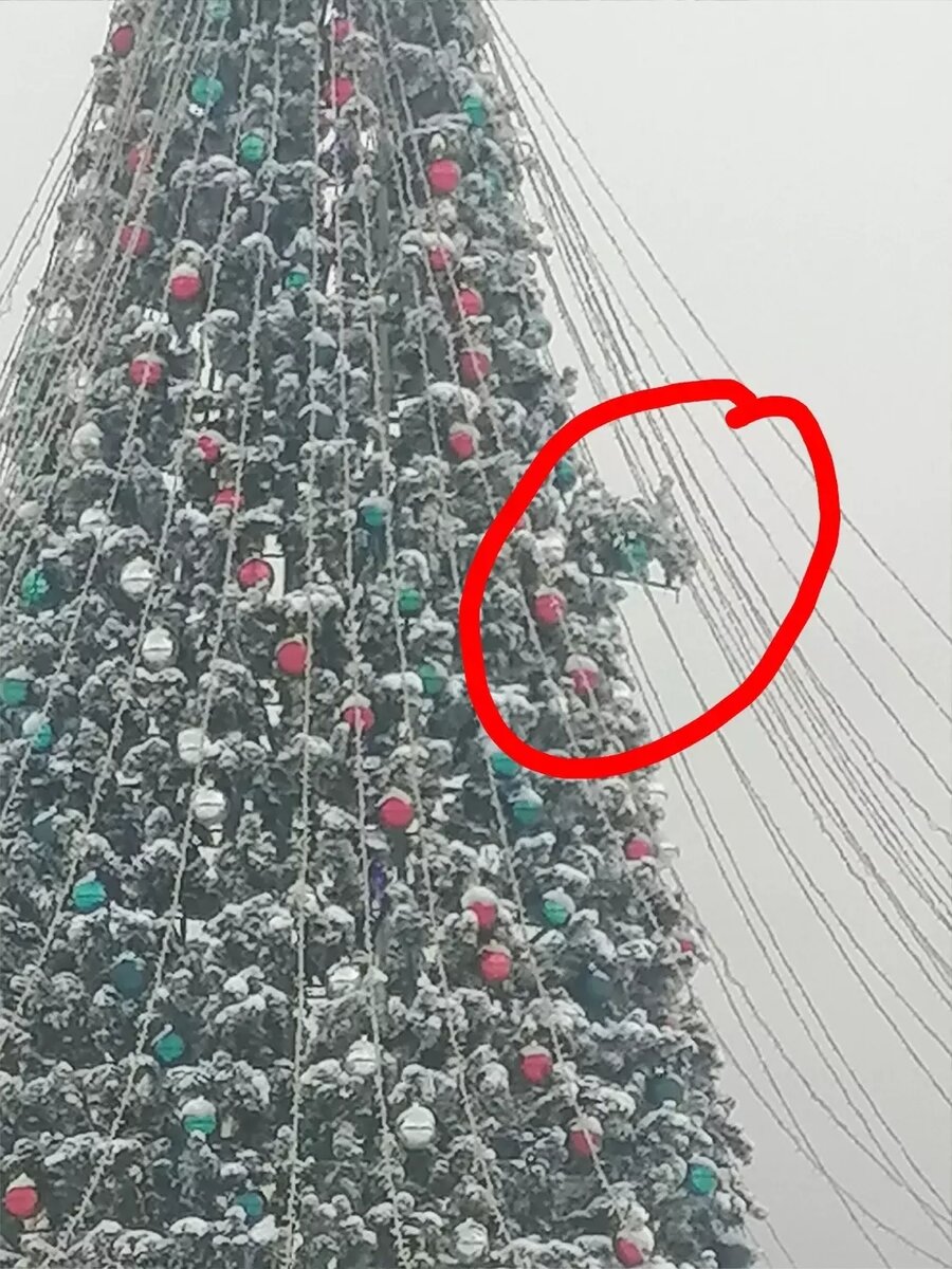     Источник: https://vk.com/wall-68154971_287709