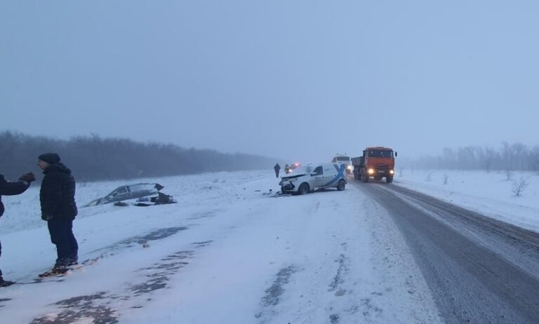    Один погиб, трое пострадали. Стали известны подробности ДТП в Переволоцком районе Марина Шарт