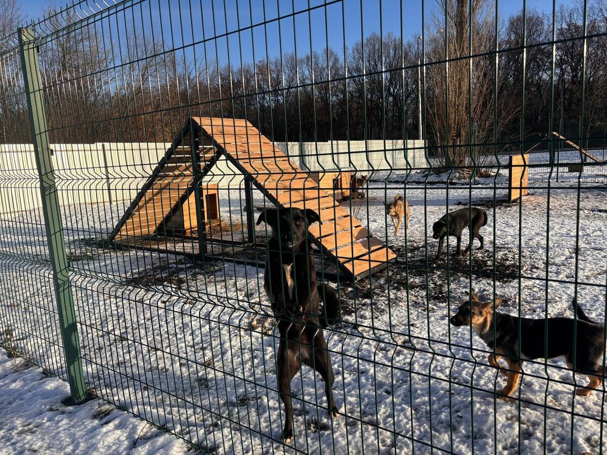 Фото: «Уютный Белгород»