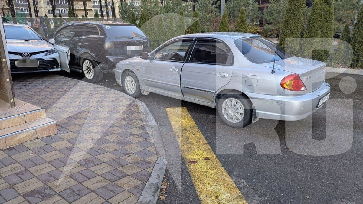    Фото: t.me/kp_kuban