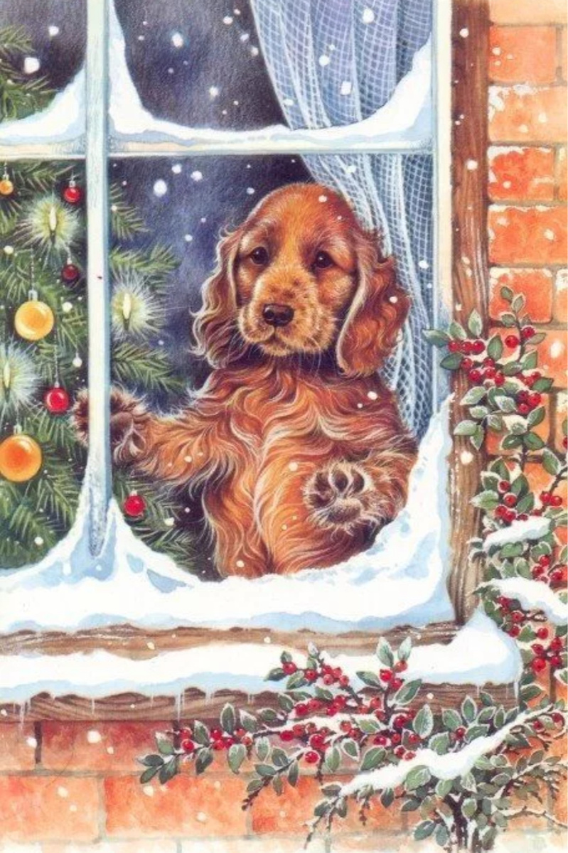 Яндекс.картинки для обложки