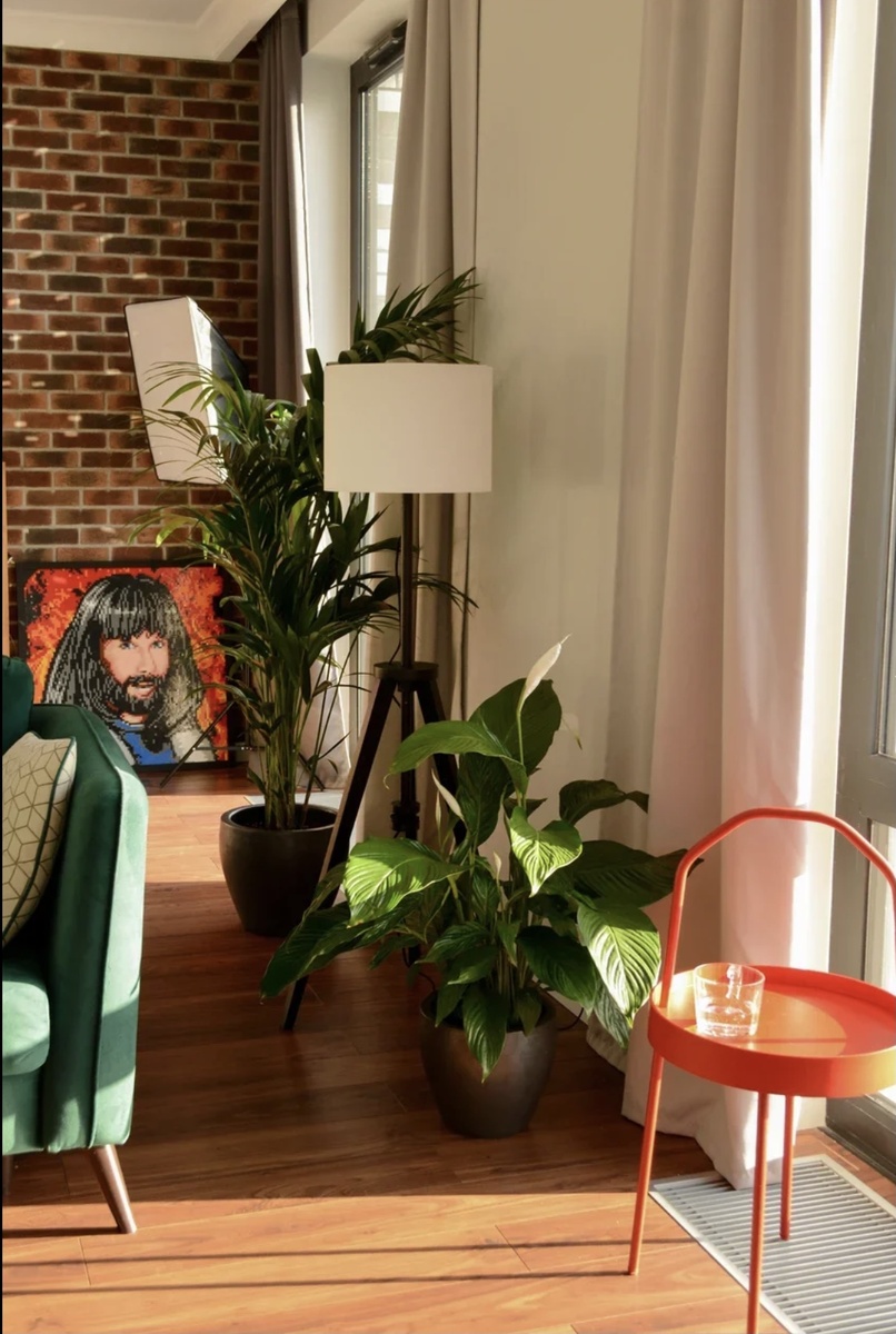 Квартира Стаса Круглицкого, фото plantsforfriends.ru