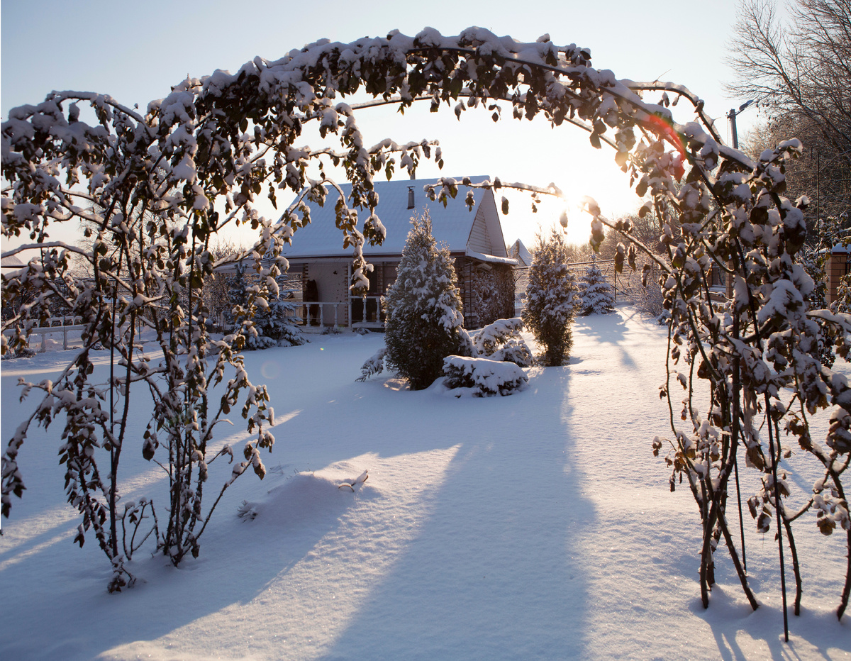 Nikolay Gyngazov/Global Look Press