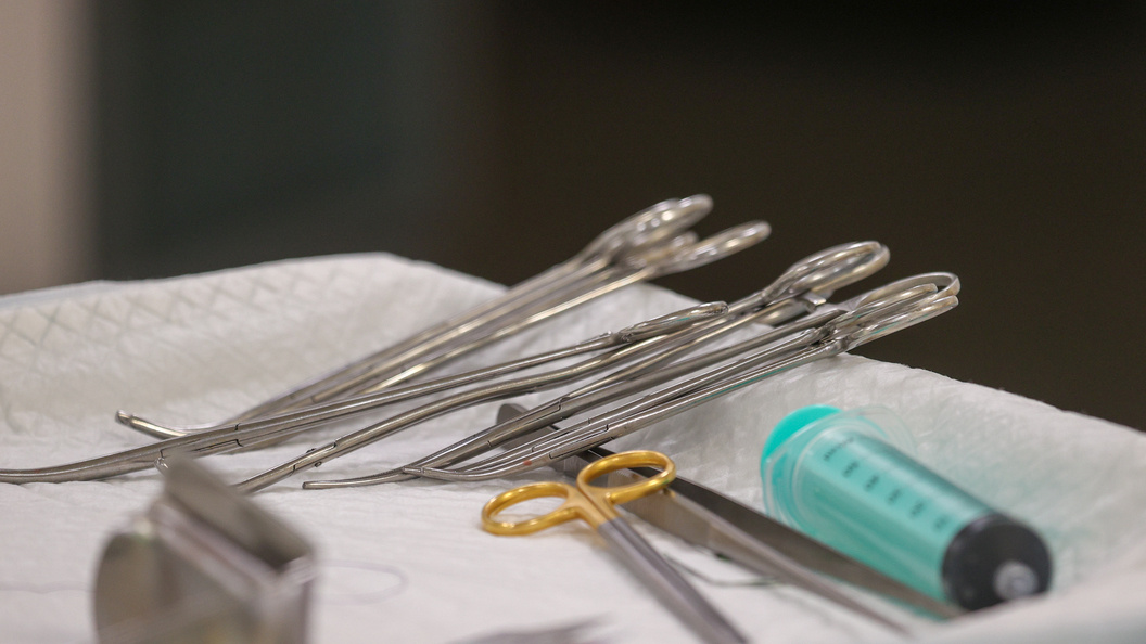    Belkin Alexey/news.ru/Globallookpress