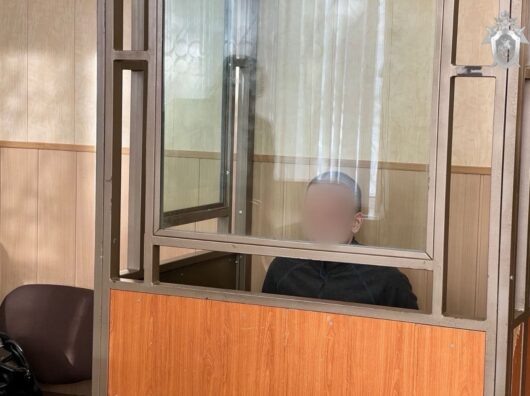    преступника поместили в СИЗО // фото: пресс-служба донского Следкома РФ
