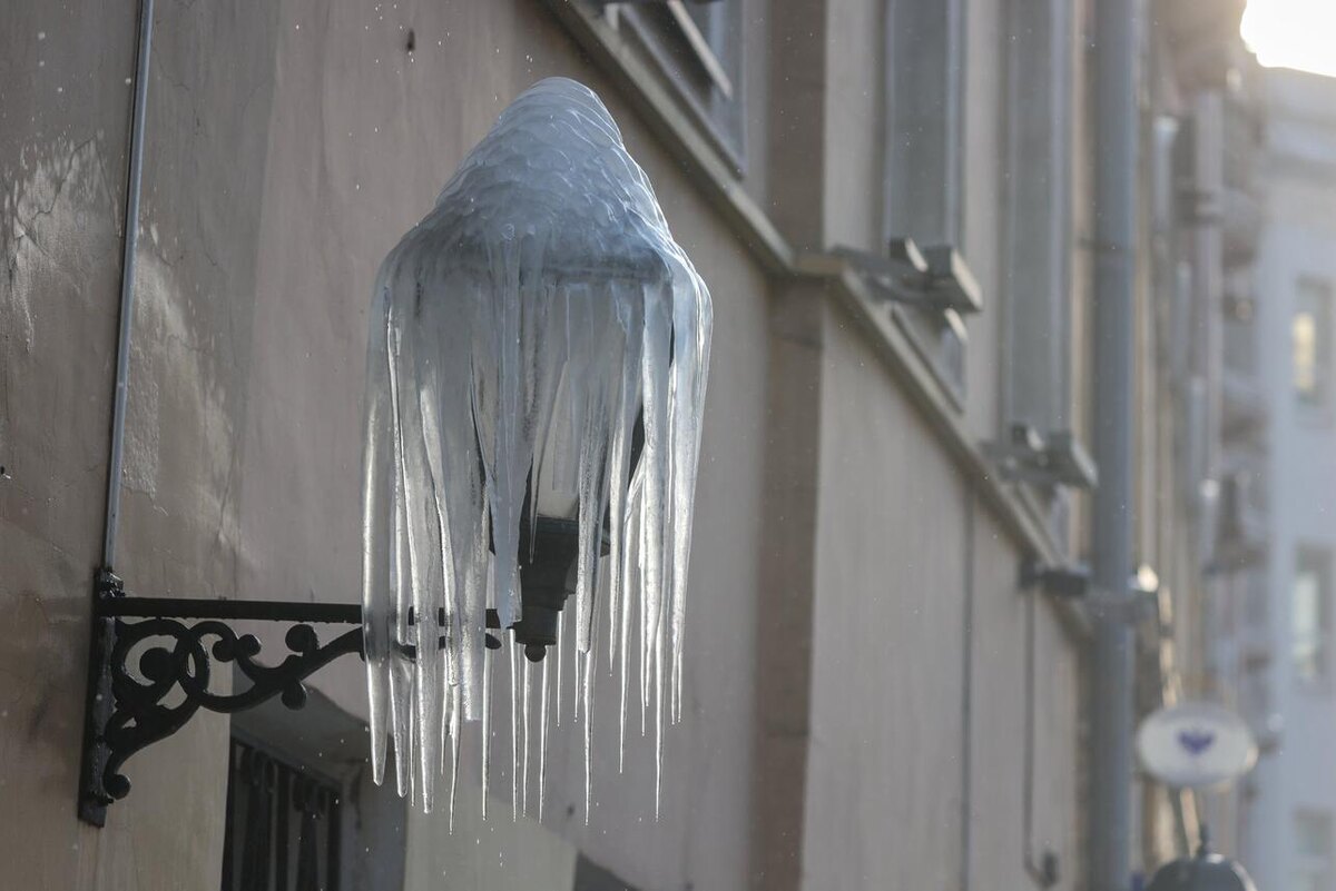     Alexey Belkin/globallookpress.com