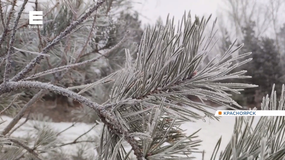     20-градусные морозы пришли в Красноярск и районы края