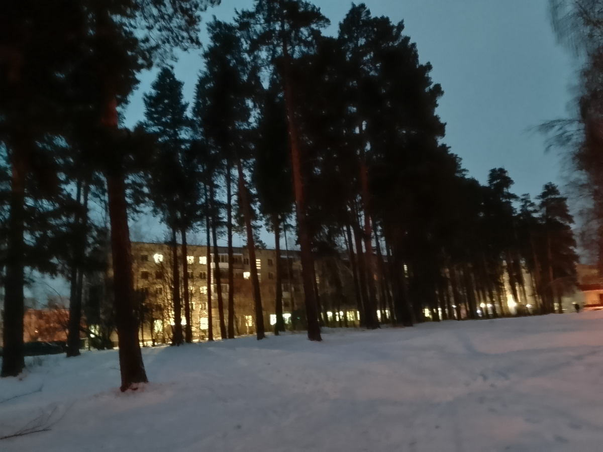 Это вчера  утром я фотографировала.