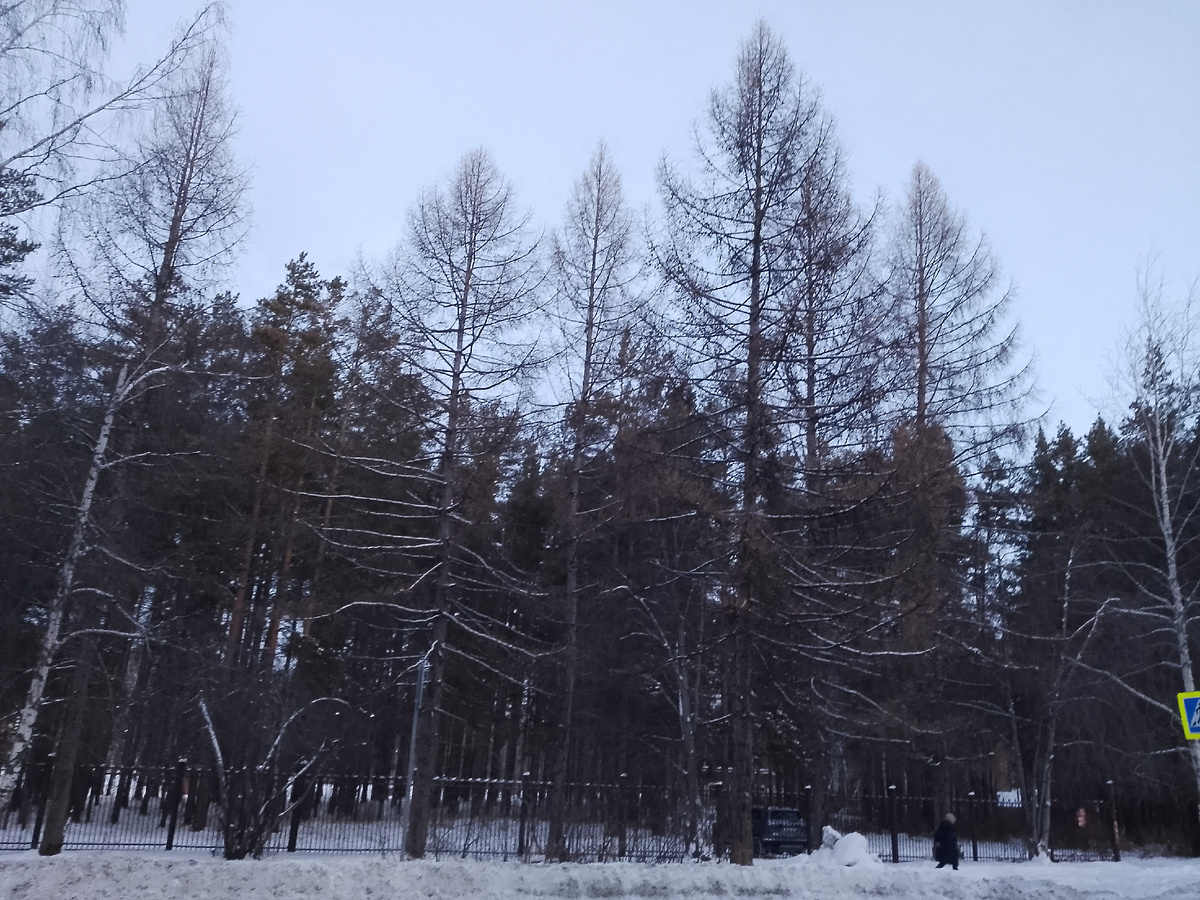 Утро в городе