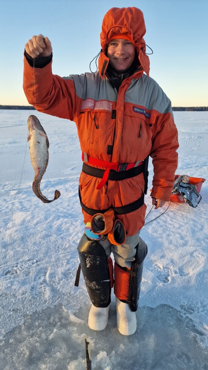 Налим на поставушку.