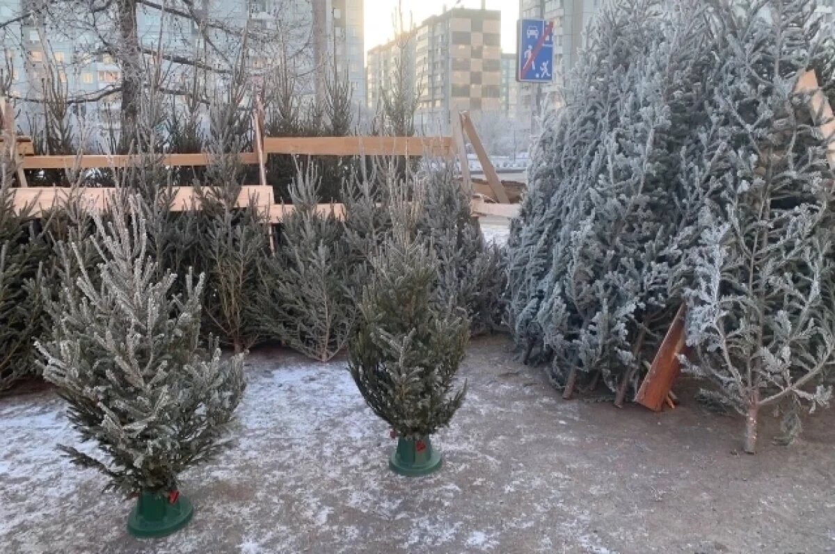    Елочные базары в этом году работают во всех районах кроме Ленинского.