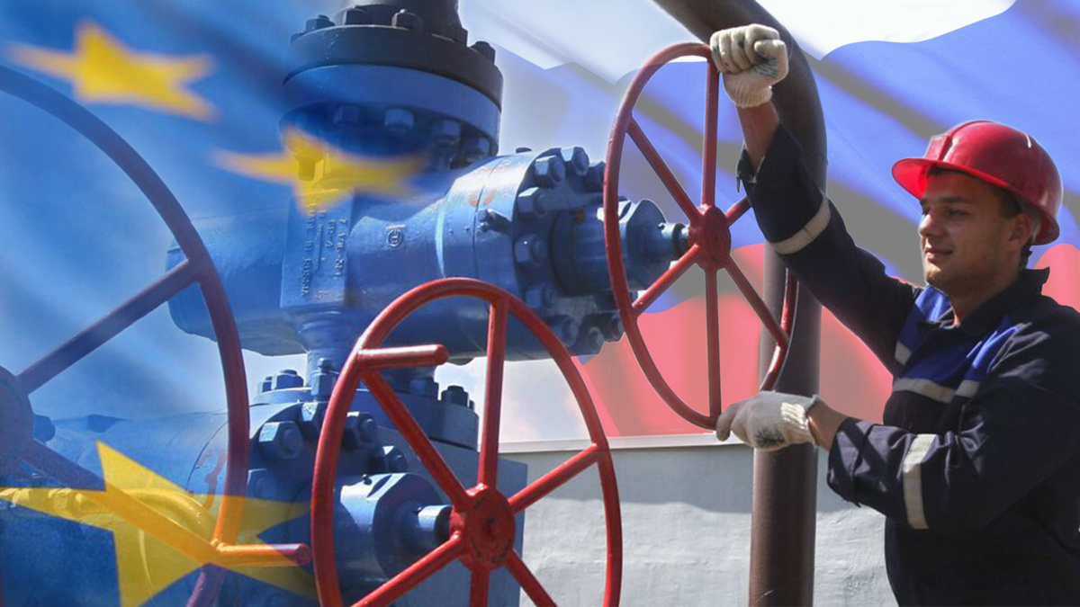 Фото: колллаж РКФД