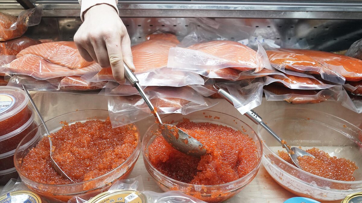 Фото: ИЗВЕСТИЯ/Эдуард Корниенко