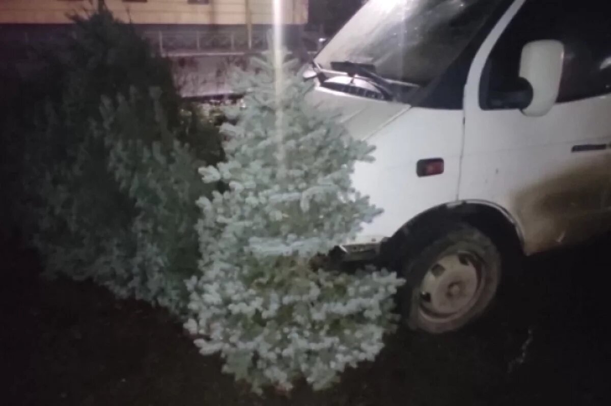    25-летний волжанин на Газели снес елку под Волгоградом