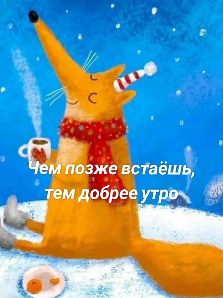 Фото из сети Интернет