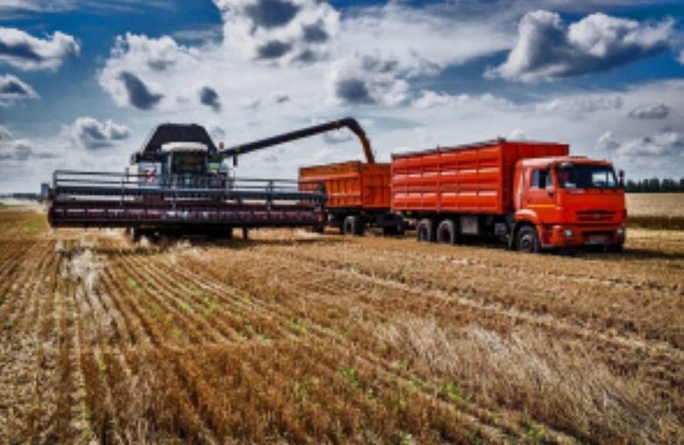    Передовики растениеводства в Липецкой области получат денежную премию