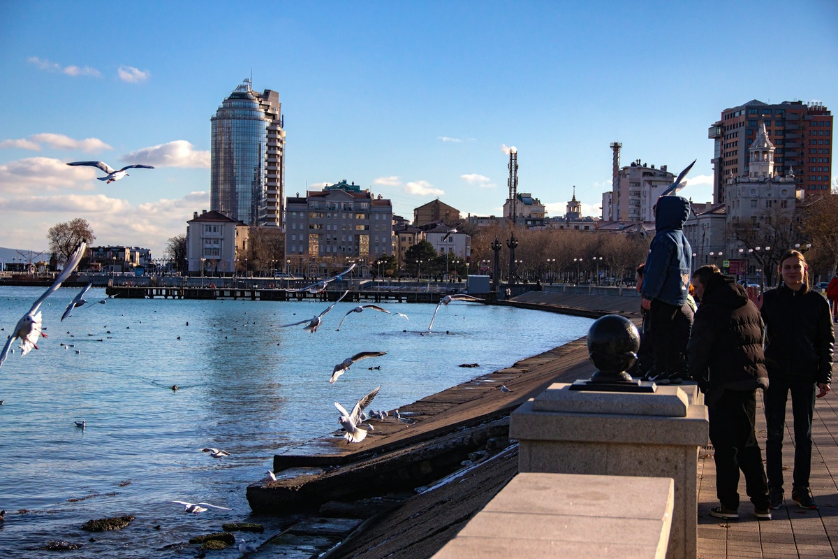 Фото с бесплатного фотостока https://unsplash.com, автор Stepan Konev