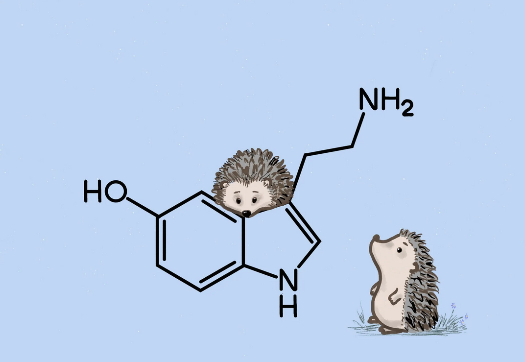 "Дофамин" - хим формула и ёжики 🦔