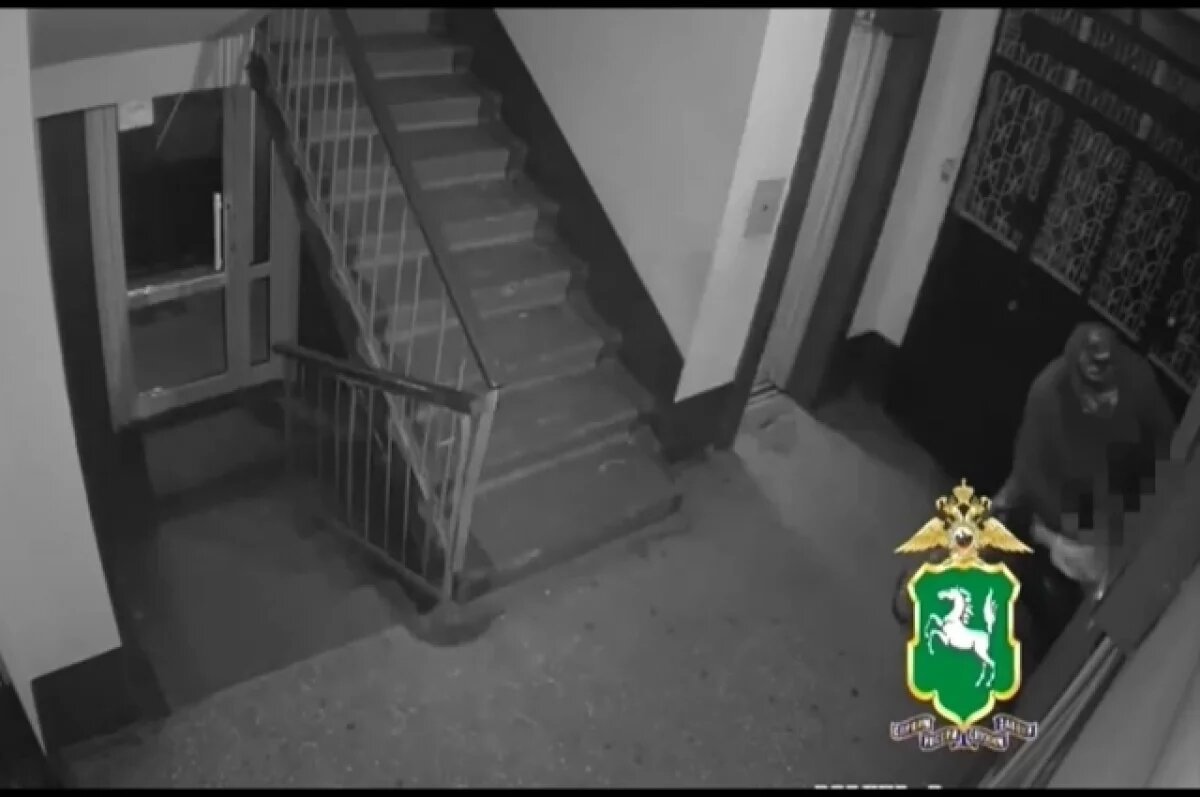    Томич вырвал сумку с пенсионными деньгами у почтальона в подъезде