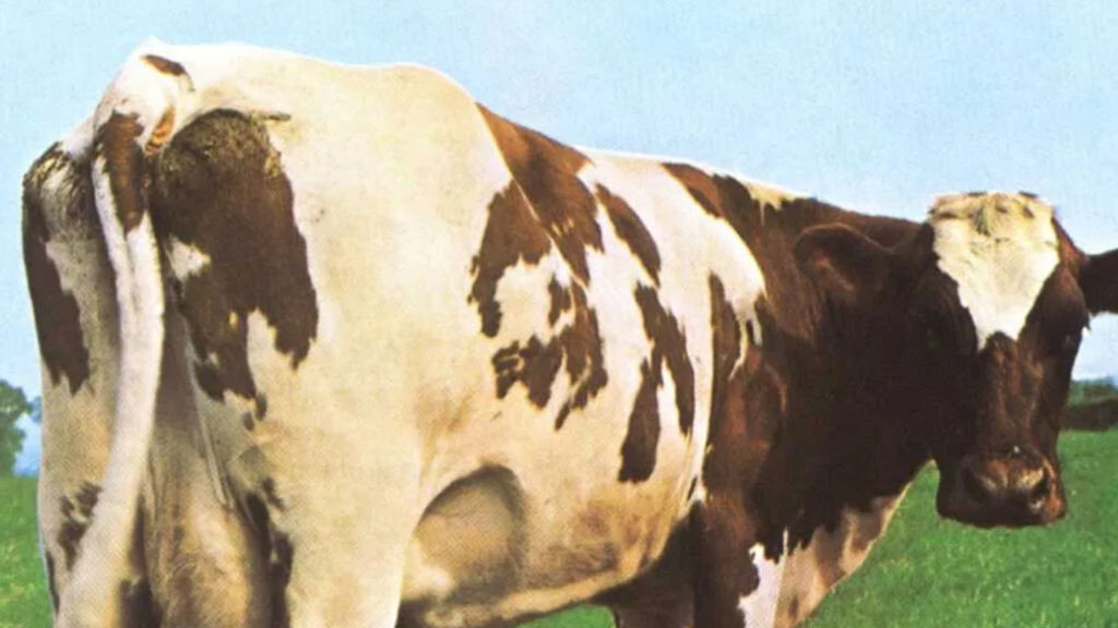 18 декабря, 2024   Азия, Китай, Сельское хозяйство, Торговля, Экспорт