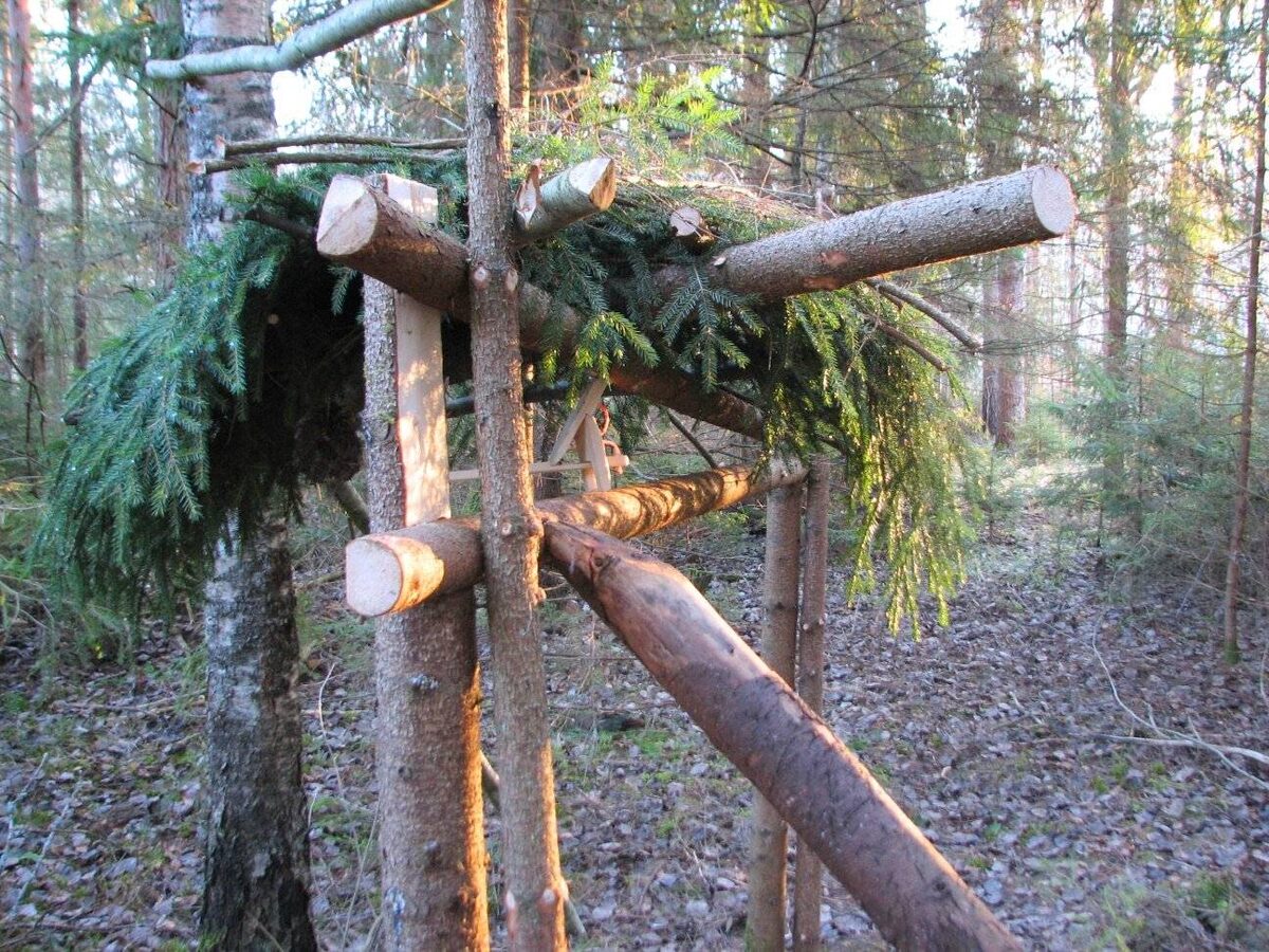 Для примера. Взято из открытых источников Яндекс 