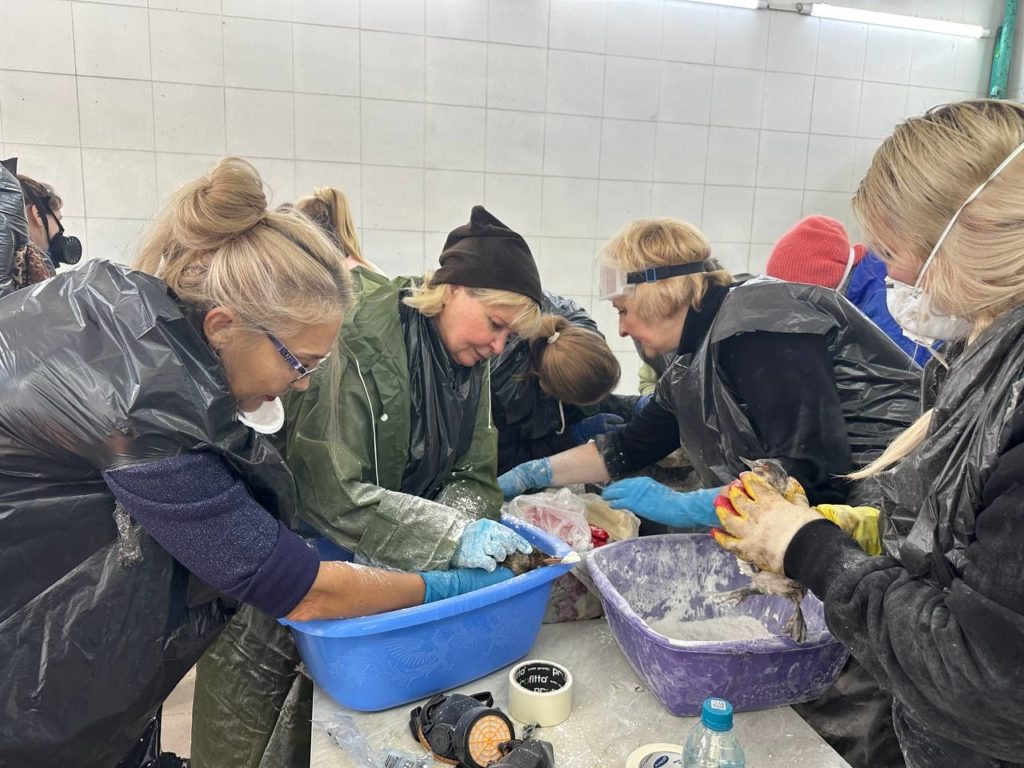 Листайте вправо, чтобы увидеть больше изображений