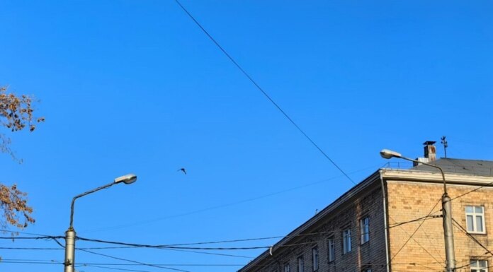    Фото пресс-центра мэрии города Красноярска