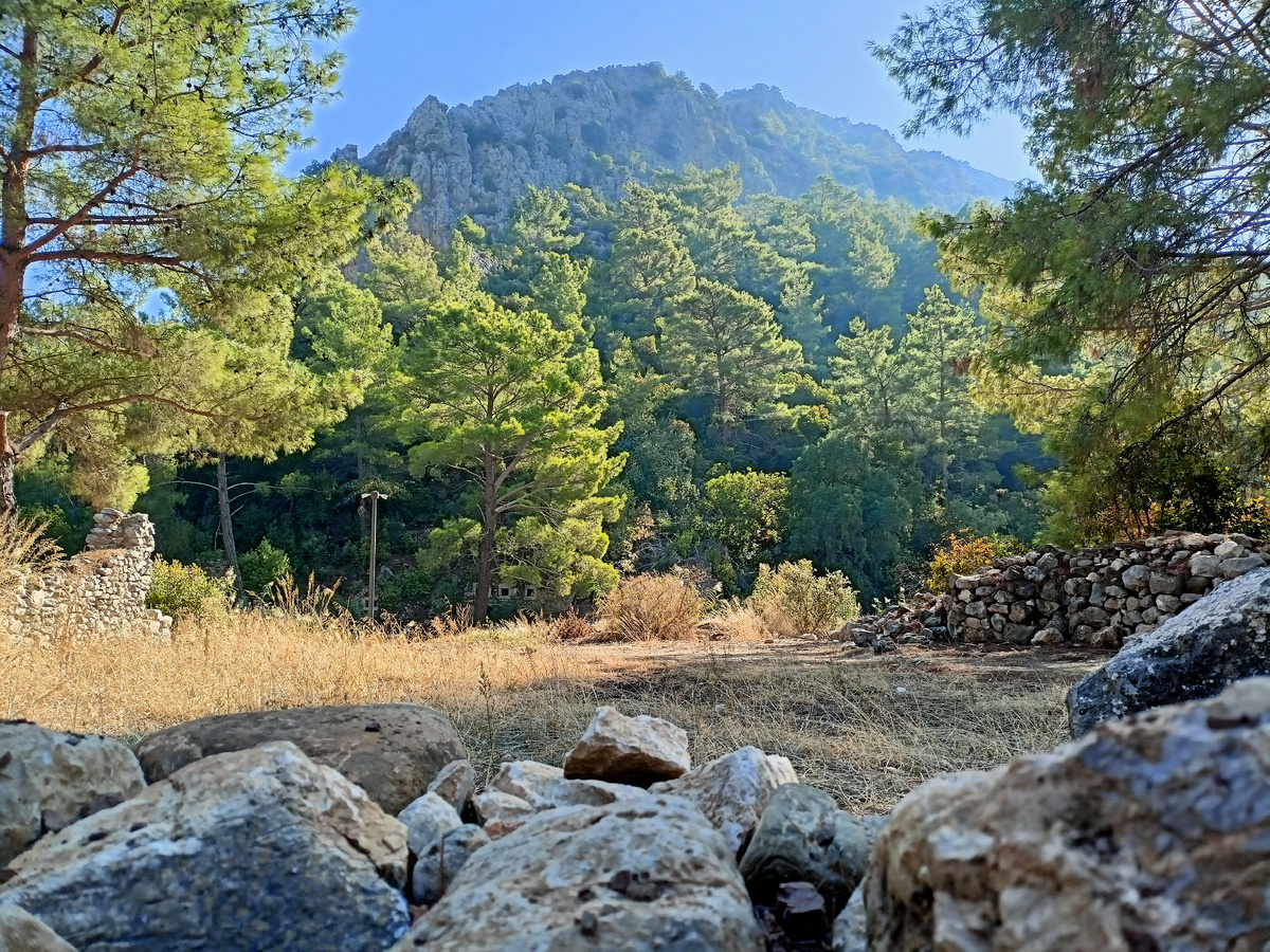 Листайте вправо, чтобы увидеть всё