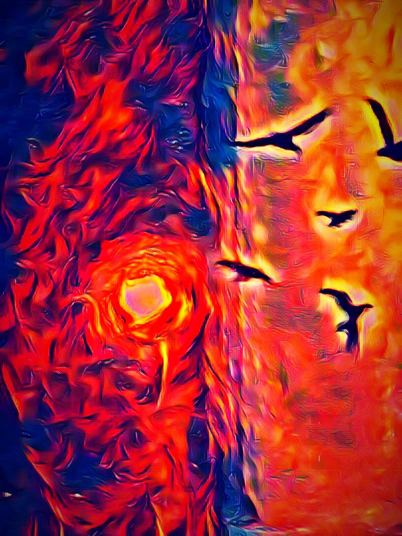 Фотоколлаж автора статьи 