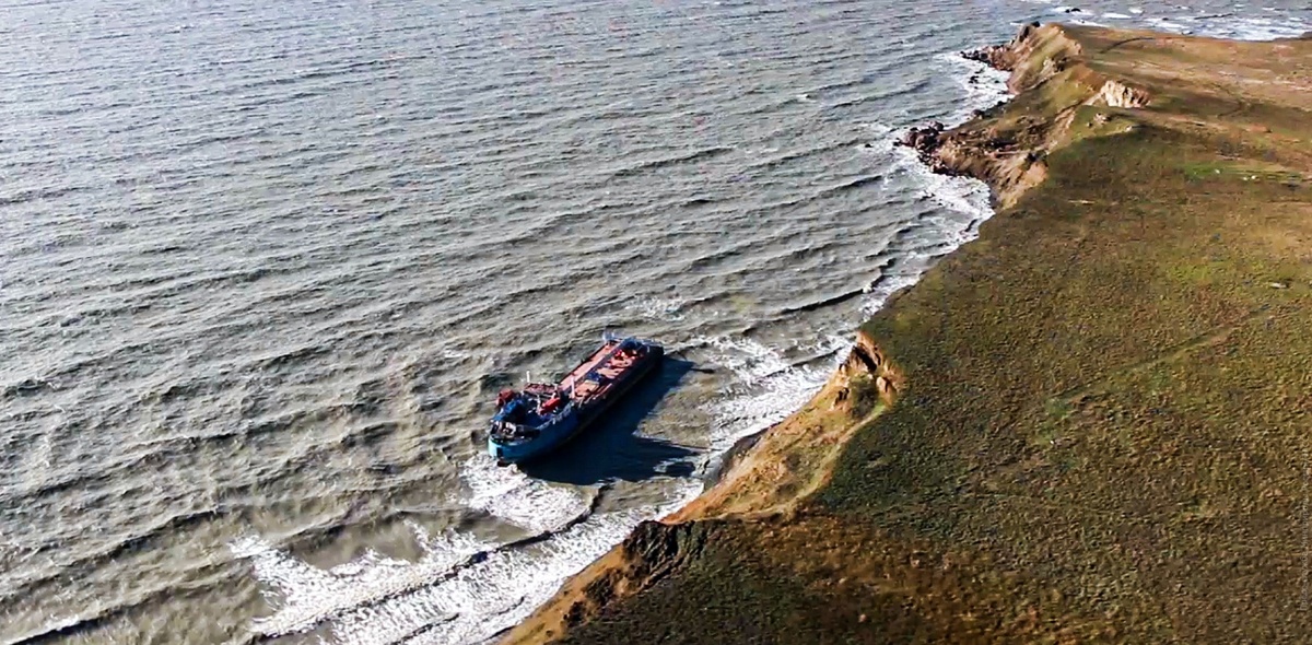 Фото: пресс-служба Минприроды России/ТАСС